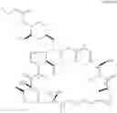 Fig. 02 - Phosphorus-containing macrocycles