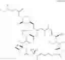 Fig. 05 - Phosphorus-containing macrocycles