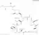 Fig. 07 - Phosphorus-containing macrocycles