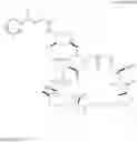 Fig. 10 - Phosphorus-containing macrocycles
