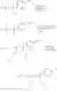 Fig. 50 - Phosphorus-containing macrocycles