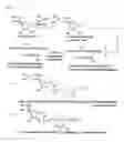 Fig. 02 - Ascorbic acid derivatives and skin-whitening cosmetics