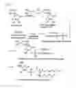 Fig. 03 - Ascorbic acid derivatives and skin-whitening cosmetics