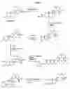 Fig. 02 - Control of biofilm formation