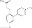 Fig. 31 - Compounds
