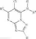 Fig. 06 - 6-Halogeno-[1,2,4]triazolo[1,5-a]pyrimidines for combating animal pests