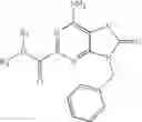 Fig. 16 - Purine derivatives