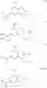Fig. 255 - Purine derivatives