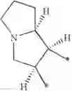 Fig. 30 - Purine derivatives