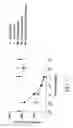 Fig. 05 - Selective serotonin 2A/2C receptor inverse agonists as therapeutics for neurodegenerative diseases