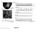Fig. 02 - Methods and compositions for modulating calcium channels