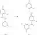 Fig. 84 - Therapeutic modulation of PPARgamma activity