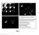 Fig. 04 - Methods of using [3.2.0] heterocyclic compounds and analogs thereof