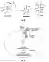 Fig. 06 - Methods of using [3.2.0] heterocyclic compounds and analogs thereof