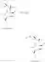 Fig. 101 - Methods of using [3.2.0] heterocyclic compounds and analogs thereof