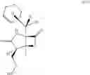 Fig. 47 - Methods of using [3.2.0] heterocyclic compounds and analogs thereof