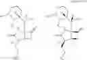 Fig. 77 - Methods of using [3.2.0] heterocyclic compounds and analogs thereof