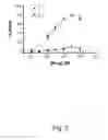 Fig. 08 - Treating pain using selective antagonists of persistent sodium current
