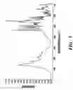 Fig. 08 - Formoterol tartrate process and polymorph