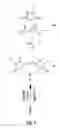 Fig. 02 - Dendrimer compositions with high branching multiplicity