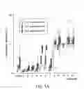 Fig. 08 - Method of infiltrating enamel lesions