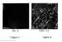 Fig. 03 - Transparent compositions, methods for the preparation thereof, and articles derived therefrom
