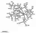 Fig. 02 - Group IIIb metal complexes with “constrained geometry” fluorenyl based ligands