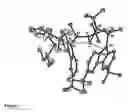 Fig. 08 - Group IIIb metal complexes with “constrained geometry” fluorenyl based ligands