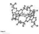 Fig. 09 - Group IIIb metal complexes with “constrained geometry” fluorenyl based ligands