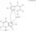 Fig. 12 - Catalyst composition for olefin polymerization