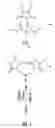 Fig. 02 - Conjugate addition products of primary amines and activated acceptors