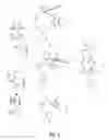 Fig. 03 - Conjugate addition products of primary amines and activated acceptors