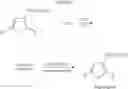 Fig. 07 - Water-soluble polythiophene polymers