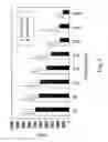 Fig. 07 - Cytokine polypeptides and nucleic acids