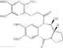 Fig. 97 - Synthesis of protected pyrrolobenzodiazepines