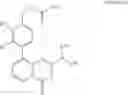 Fig. 41 - DNA-PK inhibitors