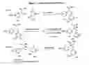 Fig. 02 - Substituted phenylacetic acids