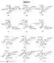 Fig. 05 - Substituted phenylacetic acids