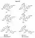 Fig. 06 - Substituted phenylacetic acids