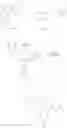 Fig. 348 - Substituted phenylacetic acids