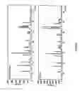 Fig. 08 - Process for the preparation of moxifloxacin hydrochloride
