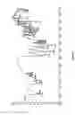 Fig. 09 - Process for the preparation of moxifloxacin hydrochloride