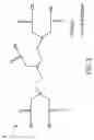 Fig. 03 - Method for manufacturing diethylene triamine pentaacetic acid derivative