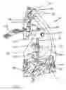 Fig. 02 - Cortical electrode support assembly