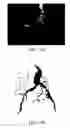 Fig. 10 - Method and apparatus for imaging abdominal aorta and aortic aneurysms