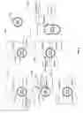 Fig. 07 - Adaptable user interface for diagnostic imaging