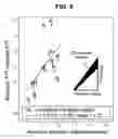 Fig. 07 - Arterial endothelial function measurement method and apparatus