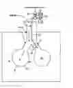Fig. 01 - Minimally invasive determination of collateral ventilation in lungs