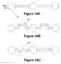 Fig. 13 - Systems and methods for conducting animal studies