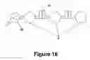 Fig. 15 - Systems and methods for conducting animal studies